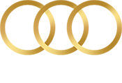 Precision fut logo